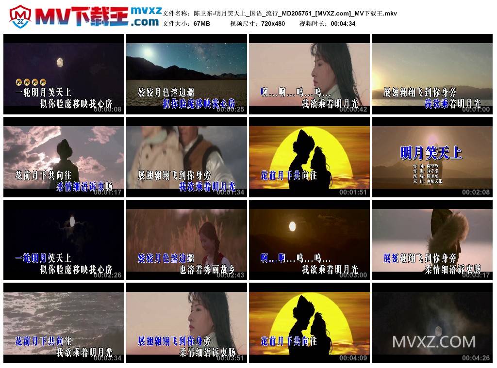 陈卫东-明月笑天上_国语_流行_MD205751